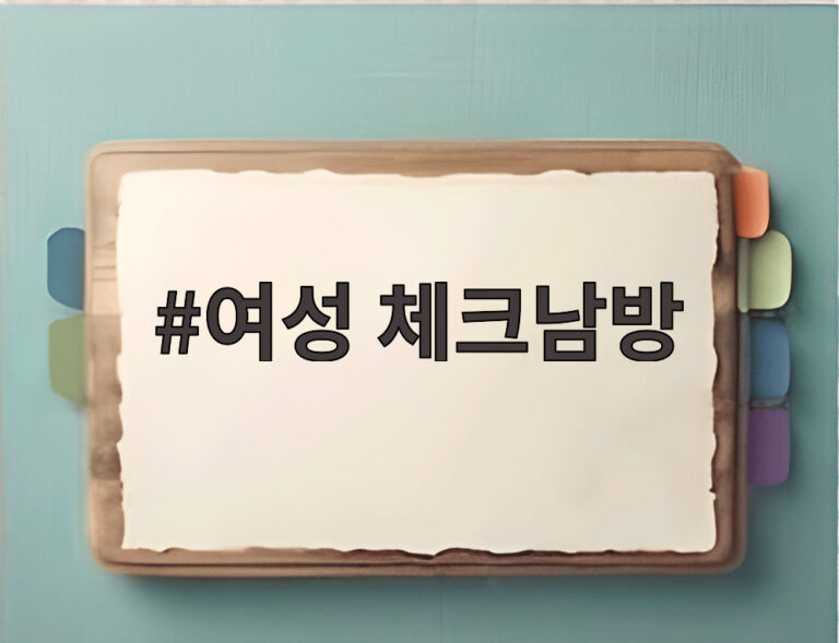 여성 체크남방