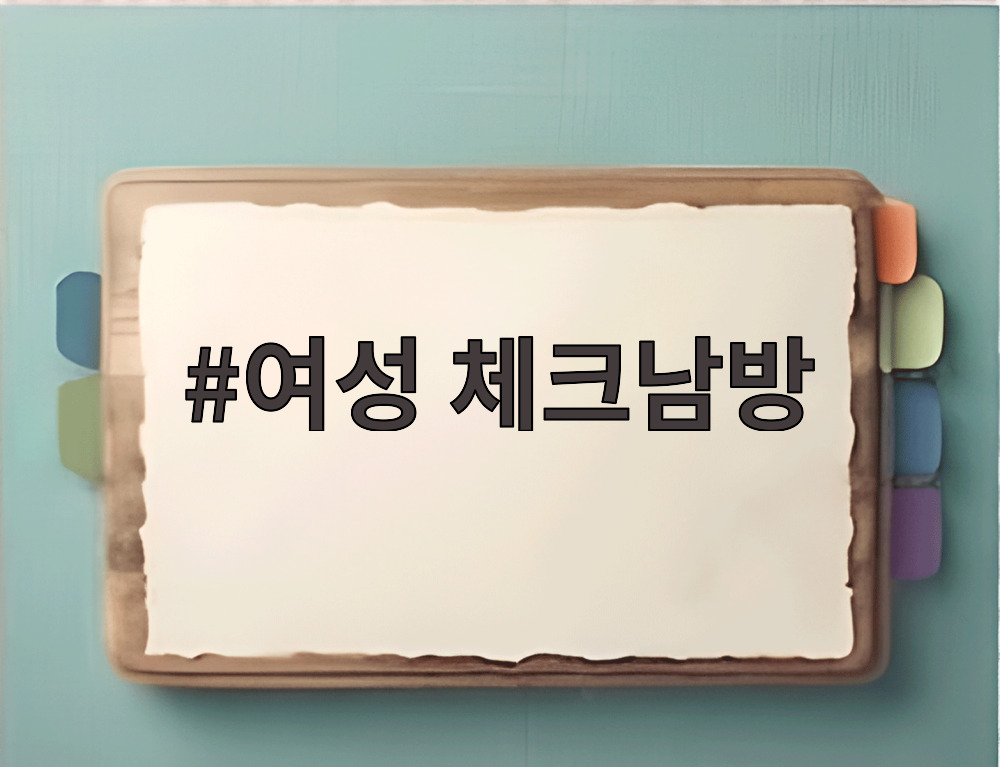 여성 체크남방