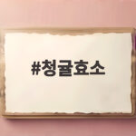 청귤효소