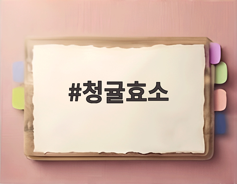 청귤효소