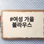 여성 가을 블라우스