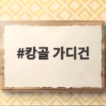 캉골 가디건