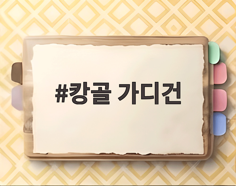 캉골 가디건