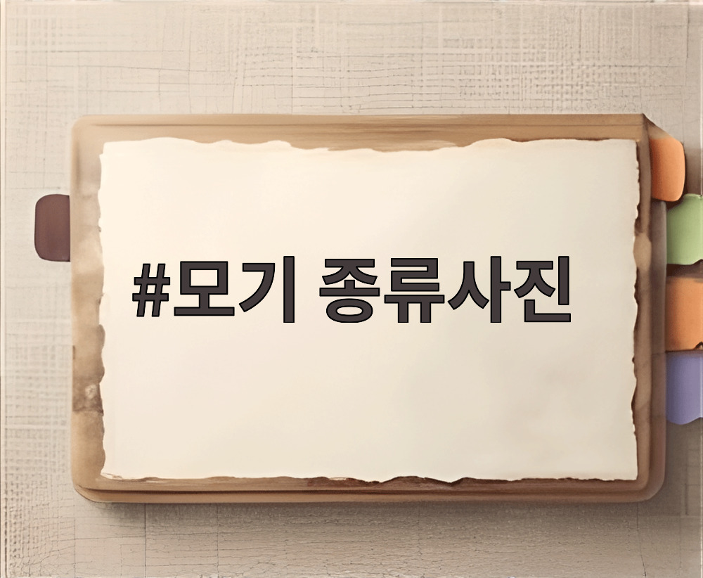 모기 종류사진