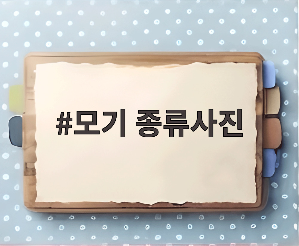 모기 종류사진
