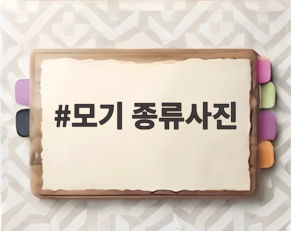 모기 종류사진
