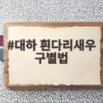 대하 흰다리새우 구별법