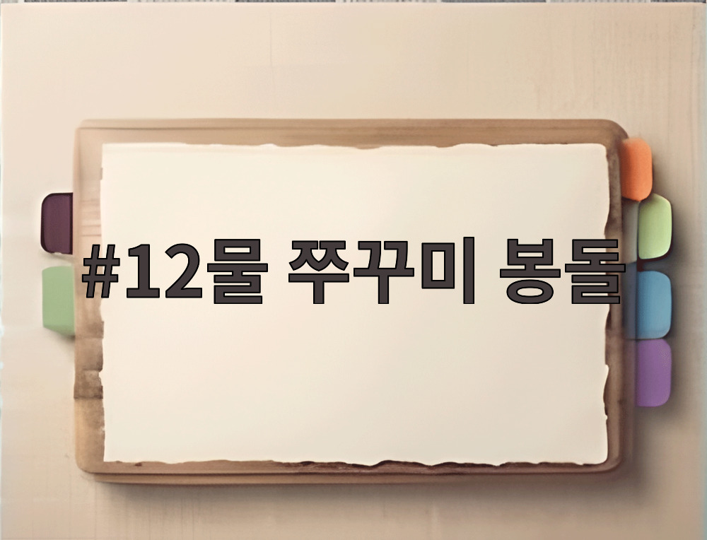 12물 쭈꾸미 봉돌