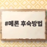 메론 후숙방법